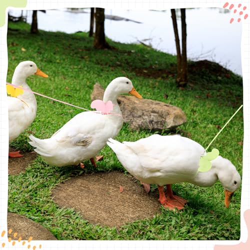 Image of SATINIOR 3 Pack Harness and Leash for Pet Ducks, Real Duck Collar and Leash Soft and Adjustable Harness Training Traction Rope Collar for Young Adult Pet Goose Chicken Hen (Pink Green Yellow,S)