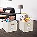 Magicfly Storage Bins with Label Holders, Set of 6 Foldable Storage Cubes 12 X 12 inch with Handle, Fabric Storage Bins for Closet, Books, Bedroom, Beige