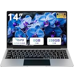 bvate PC Portatile 14 Pollici Computer Portatile 8GB RAM 256GB SSD RPM 600 Notebook Celeron Fino a 2.8Ghz Laptop Win 11 con Mouse Wireless & Adesivi per Tastiera Italiana-Argento