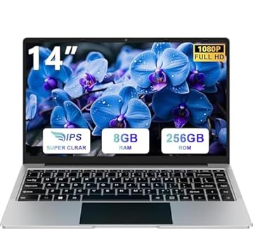 bvate PC Portatile 14 Pollici Computer Portatile 8GB RAM 256GB SSD RPM 600 Notebook Celeron Fino a 2.8Ghz Laptop Win 11 con Mouse Wireless & Adesivi per Tastiera Italiana-Argento