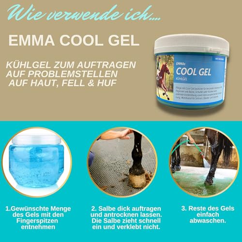 Kühlgel Pferd & Pferdebalsam wärmend & kühlend 2x500ml Arnika Salbe hochkonzentriert Gel für Sehnen Gelenke Muskeln Pferde Beine I Kühlsalbe Pferd mit Menthol Arnica Gel extra stark bei Verspanung