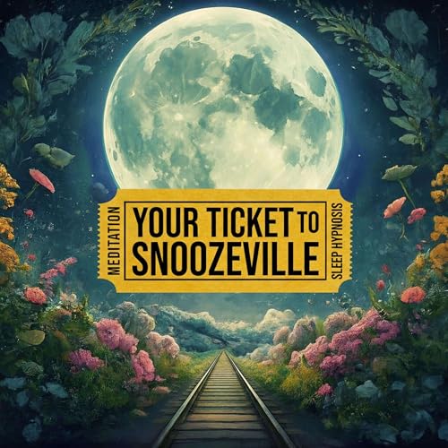 Sleep Hypnosis & Bedtime Stories: Your Ticket to Snoozeville cover art