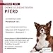 Fleischstreifen MINI Hundeleckerli aus 100 % Pferdefleisch - 70 g - Snack für kleine Hunde - getrocknete Pferde Kaustreifen - hypoallergen & getreidefrei - Dörrfleisch vom Pferd ,Rot