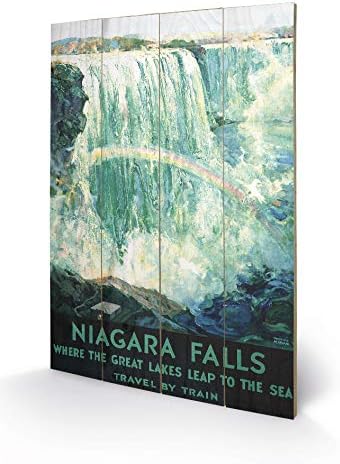 Piddix (Niagra Falls 40 x 59cm Wooden Wall Art, Multicolor