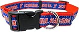 Pets First Collegiate Florida Gators Pet Collar, Medium