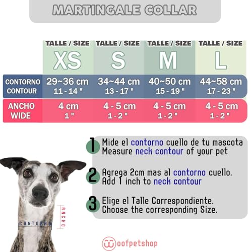 Woofpetshop® Martingale Hundehalsband, Halsband für kleine, mittelgroße und große Hunde, ideales Hundehalsband Windhunde und Podenco (Zebra Yellow, 5 cm - Größe S (34-44 cm))
