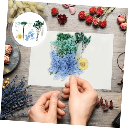 Flores secas prensadas para decoración y manualidades miniatura 4