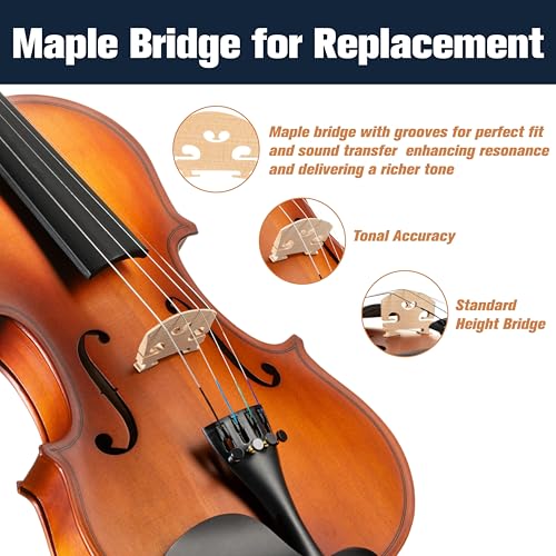 image for Mendini by Cecilio 14-Inch Solid Wood Viola Set for Beginners - Hand C