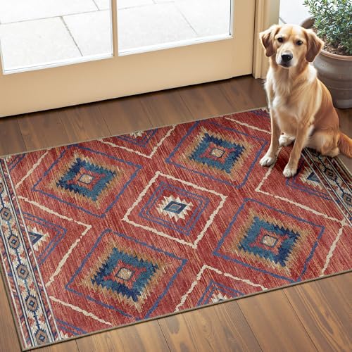 Area Rug 2x3 Rug Machine Washable Non-Slip Low Pile Print
