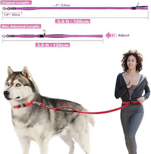 Miniatura 5 de TSPRO Correa para perro manos libres, ajustable, para caminar, correr, con mango acolchado de seguridad y cierre resistente para perros medianos y