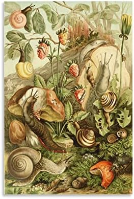 Snail Vintage Poster Natural History Room Aesthetic Poster Decorative Painting Canvas Wall Art Posters And Picture Print Modern Family Bedroom Decor Poster 12x18inch(30x45cm)