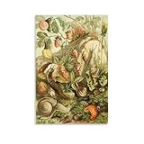 Snail Vintage Poster Natural History Room Aesthetic Poster Decorative Painting Canvas Wall Art Poste