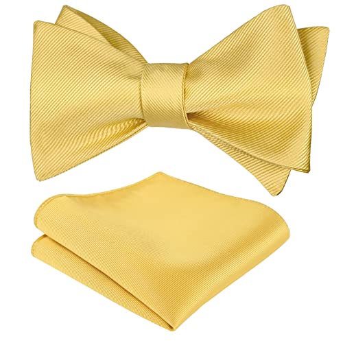Image of Alizeal Mens 2pcs Solid Self-tied Bow Tie Set