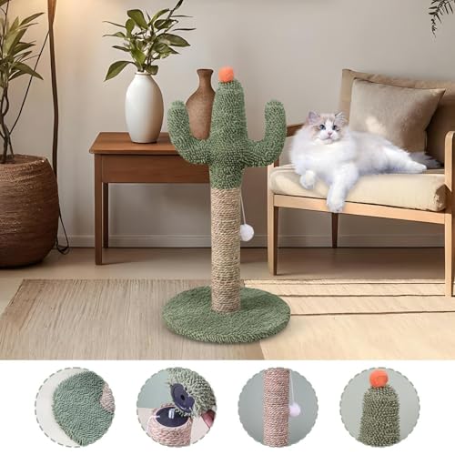 Arbre à chat vertical cactus anti-basculement pour préserver les meubles