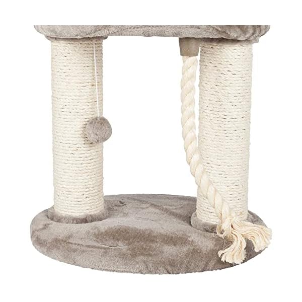 Trixie 47062 Kratzbaum Marcela, 60 cm, grau – Bild 7
