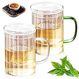 Leikurvo Juego de 2 tazas de té con tapa y colador, 400 ml, vidrio de té resistente al calor con asas de color de vidrio de borosilicato (mango transparente + mango verde)