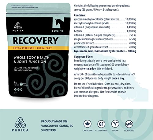 Recovery Eq With Hyaluronic Acid, 2.2 Lbs (1 Kg) #TOP1