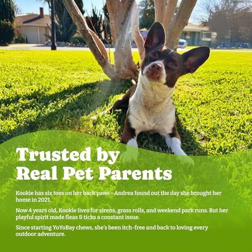 Image of Flea & Tick Prevention for Dogs Chewables,Oral Flea Pills, Dogs Supplement | Natural Dog Flea and Tick Control Treatment, Natural Shield 5-in-1 Protection, Beef & Carrot Flavor, 180 Soft Chews