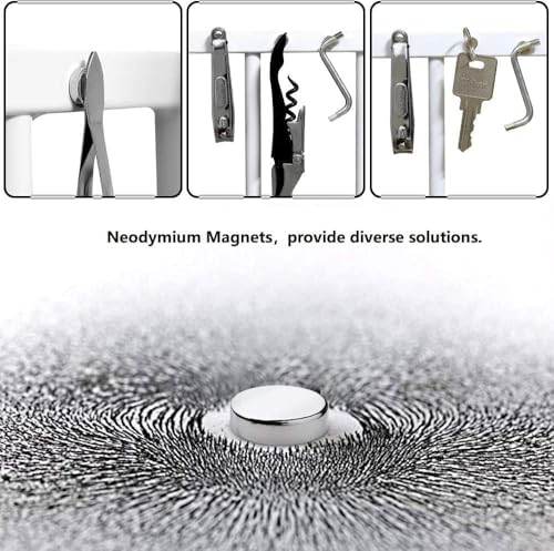 Image of rhinocats Small Strong Magnets, 269Pcs Mini Round Refrigerator Magnets for 3D Printings, Office, Hobbies, Crafts and Science