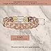 Handmade Elegant Copper Bracelet for Women - Pure Copper Bracelet for Pain Relief and Stress Relief - Adjustable Entwisted Copper Bracelet to Fit many Size Wrist (knitted)