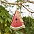 Glitzhome 11" H Distressed Solid Wood Watermelon Birdhouse, Rustic Bird House Outdoor Garden Decorative Handmade Birdhouse