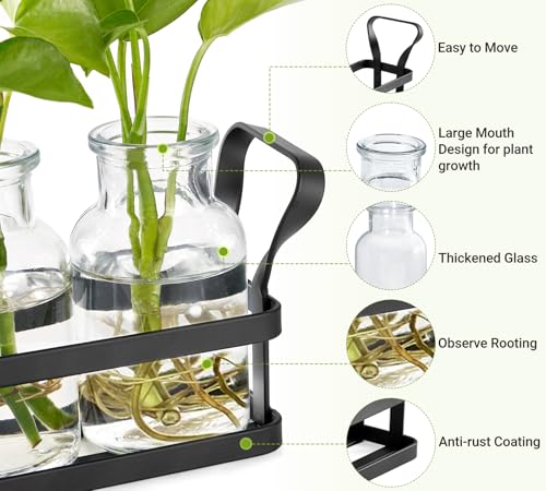 Bottling plant system