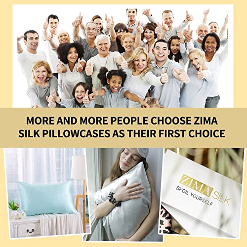 Zimasilk 100% Mulberry Silk Pillowcase For Hair And Skin Health,Soft And Smooth,Both Sides Premium Grade 6A Silk,600 Thread Count,With Hidden Zipper,1Pc(Standard 20''X26'',Lake Blue) #TOP5