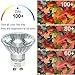 Vinaco GU10 Halogen 50W Bulbs, 6PCS GU10+C 120V 50W Halogen Light Bulbs, GU 10 Dimmable, Warm White, High Brightness MR16 with Glass Cover, Long Lifespan GU 10 50 W for Recessed Track Lighting