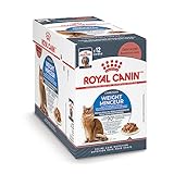 Royal Canin Feline Care Nutrition Weight Care Adult Chunks in Gravy Cat Food, 3 oz (Pack of 12)