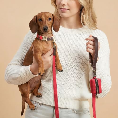 Image of Personalized PU Leather Dog Collars, Quick Release Buckle, Red,S