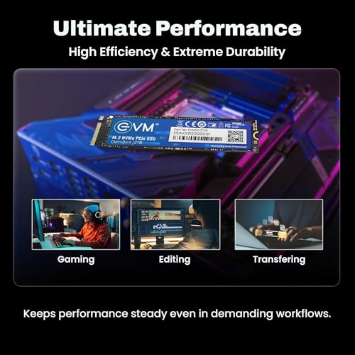 Image of EVM 2TB NVMe Gen 3x4 Internal SSD (2280) - Upto 3800MB /s Read & 3000MB /s Write | PCIe 3.0 M.2 Solid State Drive for Gaming, Laptops & Desktops | Shock Resistant & 5-Year Warranty (EVMNV /2TB)