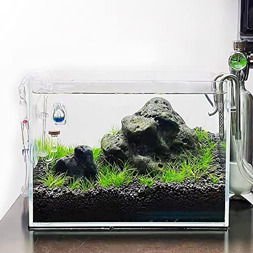 Image of Allcolor Artisan Grade Ultra Clear Rimless Aquarium Tank (6Gal) | Low Iron Glass Fish Tank for Professional Aquascaping and Planted Layouts, 6-60 Gallons (6Gal-Top Glass Canopy)