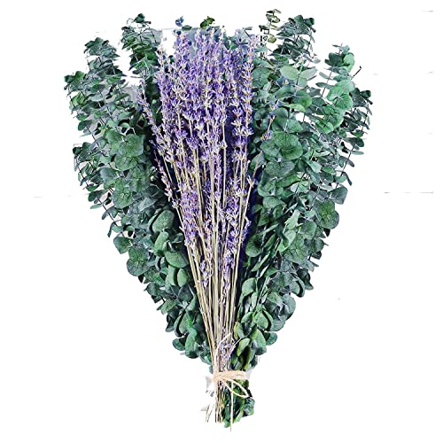 15 tallos de eucalipto y lavanda seca preservada miniatura 1