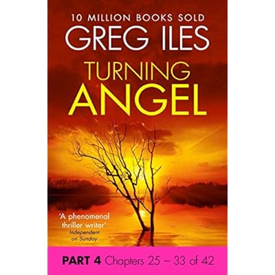 Turning Angel: Part 4, Chapters 25 to 33
