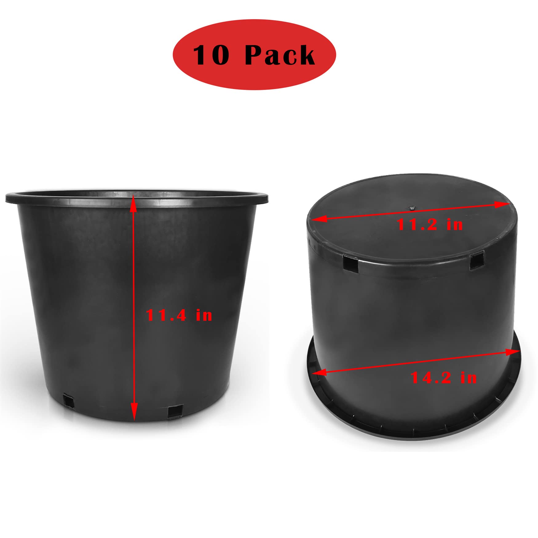 https://m.media-amazon.com/images/I/51a20j0MGmL.jpg