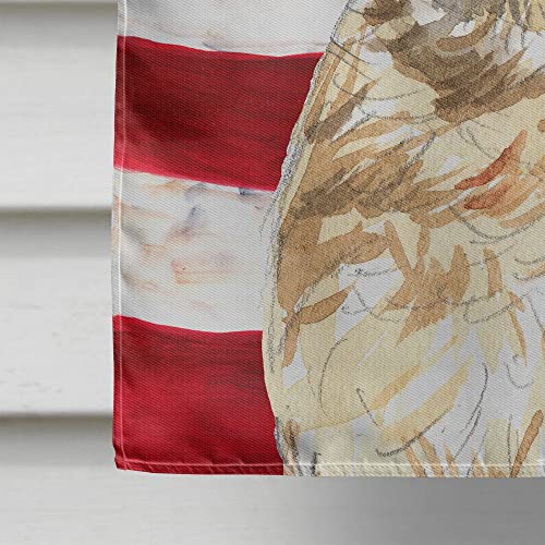 Drapeau Cairn Terrier USA en toile Canvas durable et résistante aux UV - 5