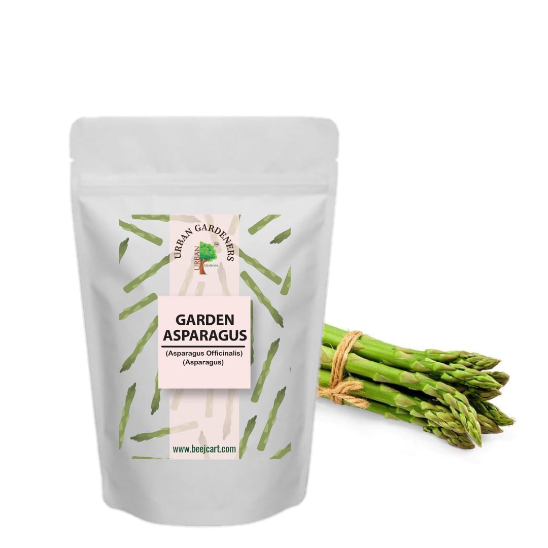 ASPARAGUS SEEDS 100 Seeds Organic Seeds Non-GMO Quick Growth (B0CKBS9QY1) Amazon Price History, Amazon Price Tracker