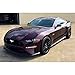 KPMF K75447 Gloss Midnight Crimson Bloom 3in x 5in (Sample Size) Vinyl Car Wrap Film