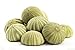 Nautical Crush Trading Sea Urchin | 12 Green Sea Urchin Shell |12 Green Sea Urchin Shells for Craft and Decor TM