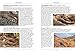 A Naturalist's Guide to the Reptiles of Australia (Naturalists' Guides)