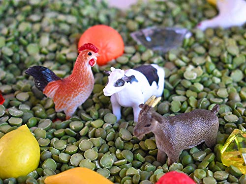 Down on the Farm Discovery Kit for Sensory Play (No Box)