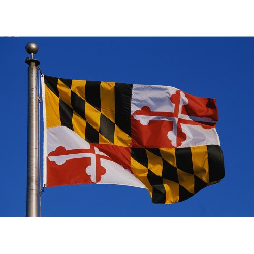Allied Flag Nylonowa flaga państwowa na zewnątrz, Maryland, 1,2 m na 15 m