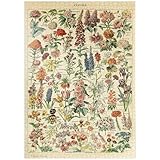 Motiv von diesem 1000 Teile Puzzle: Adolphe Philippe Millot