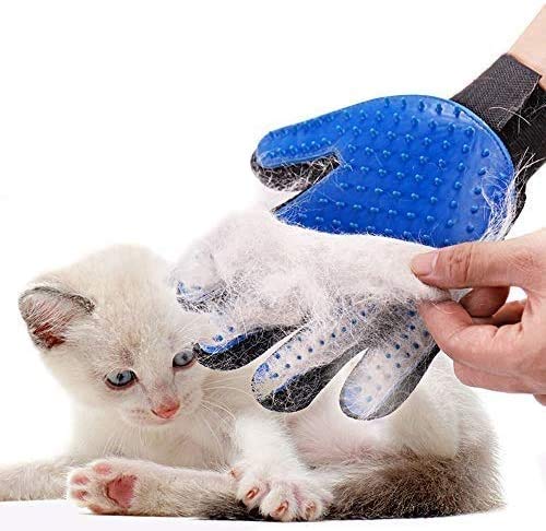 THE DDS STORE Superdog Hand Brush Grooming Gloves Pet Shampoo Brush | Soothing Massage Rubber Bristles Curry Comb for Dogs & Cats Washing | Professional Quality Hand Brush -1 Piece (Color May Vary) (B09NTWZQJN) Amazon Price History, Amazon Price Tracker