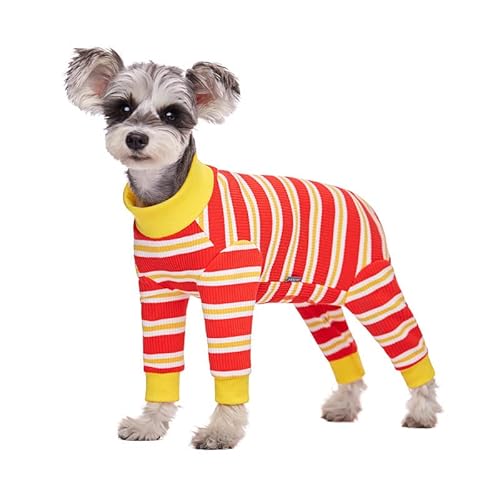 pXgCvJo[X[cAqp̃W[jpALpW}{fBX[cApnѕAEїppc