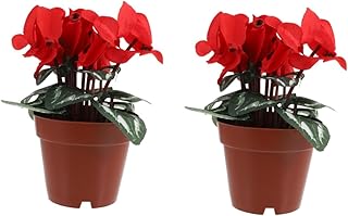 VILLFUL 2pcs Bonsai Decoration Artificial Potted Plant Fake Flower Easy Maintenance for Office Room