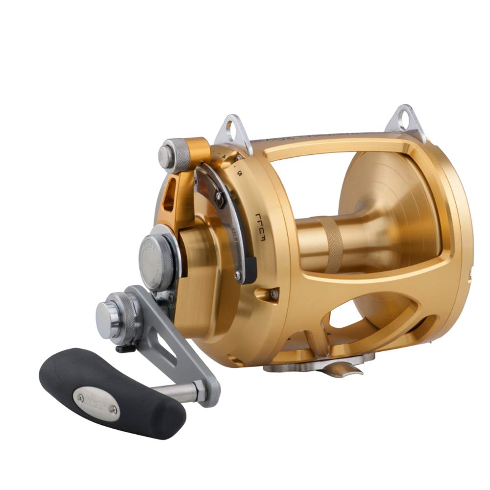 Amazon.com : Reels Saltwater Lever Drag PENN INT80VISW