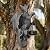 IDEA SHOW Solar Dragon Decor Tree Hugger Statue | Outdoor Garden Statue with LED Light for Yard, Patio, Balcony | Fantasy Dragon Figurine for Trees, Walls, Fences | Unique Gift for Women, Men & Mom