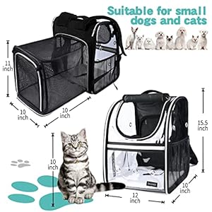   BAGLHER-Expandable-Pet-Carrier-BackpackPet-Bubble-Backpack-for-Small-Cats-Puppies-Dogs-Bunny-Airline-Approved-Ventilate-Transparent-Capsule-Backpack-for-Travel-Hiking-and-Outdoor-Use-Black