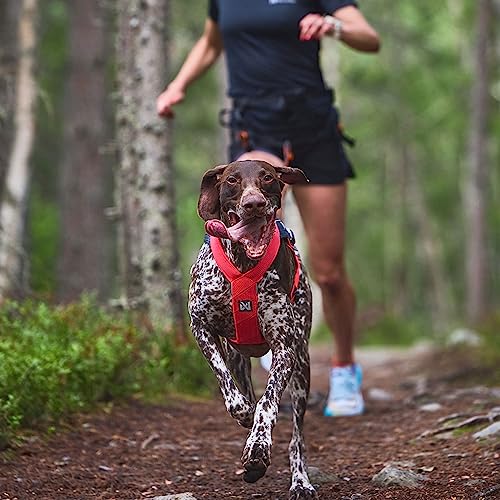 Non-stop dogwear FREEMOTION Harness 5.0 |111| Hundegeschirr für alle Sportarten, Größe:4